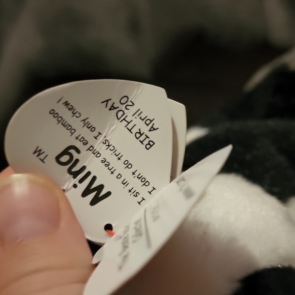 TY Beanie Baby Pandas Ming and Beaks - Picture 5 of 5